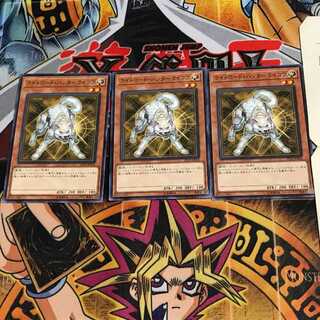 Ryko, Lightsworn Hunter ST19 2 Normal, set of 3 Tera.