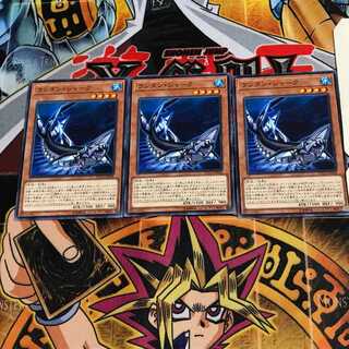 Lantern Shark ETCO 2 Normal, set of 3 Tera