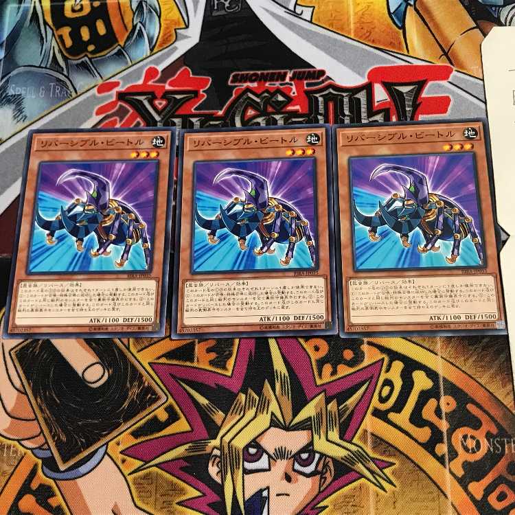 リバーシブル・ビートル RIRA 3 ノーマル 3枚セット てら