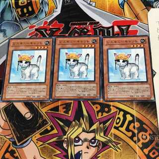 Rescue Cat EE3 1 Normal, set of 3 Tera.