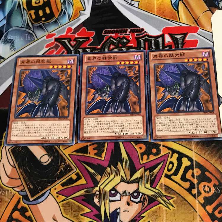 異界の棘紫獣 PR03 5 ノーマル 3枚セット てら