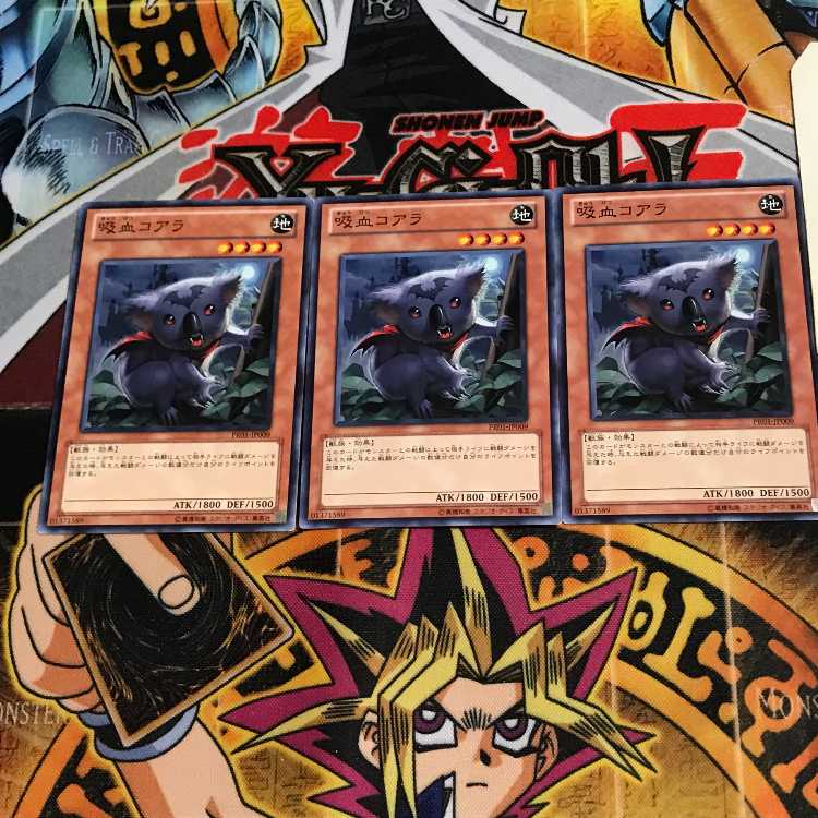 吸血コアラ PR01 1 ノーマル 3枚セット てら