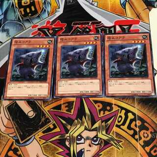 吸血コアラ PR01 2 ノーマル 3枚セット てら