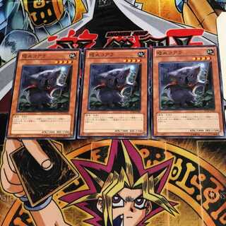 吸血コアラ TP14 3 ノーマル 3枚セット てら