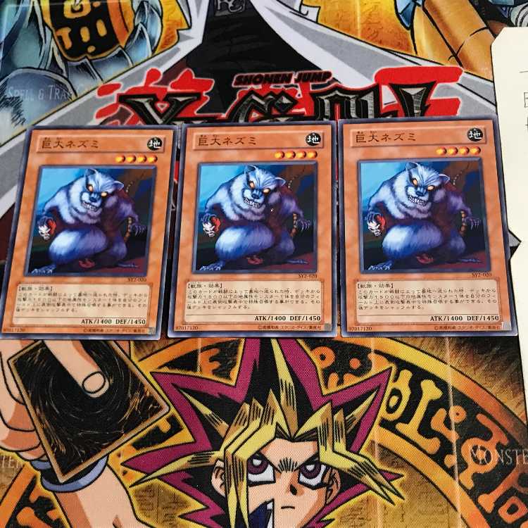 Giant Rat SY2 1 Normal, set of 3 Tera.