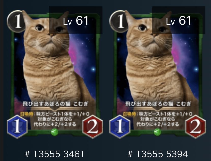 こむぎ 2枚セット バラ売り可