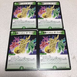 爆進イントゥ・ザ・ワイルド