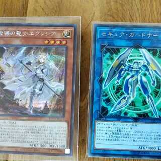 【優先】エクレシア シークレット セキュアガードナー