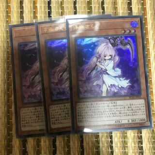 マドレース 浮幽さくら