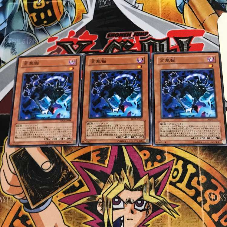 金華猫 TDGS 3 ノーマル 3枚セット てら