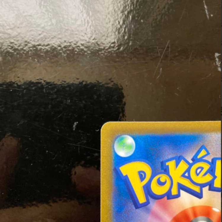 ポケモンカード　ナタネの活気SR