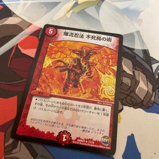 爆流忍法 不死鳥の術 R 17/74