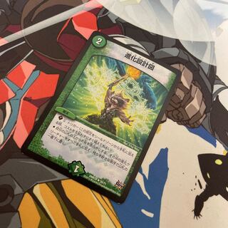 進化設計図 R 25/71