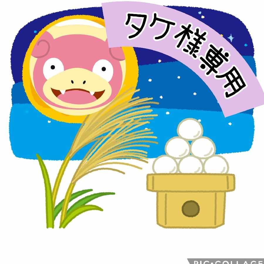 タケ様専用 （①【タケ様専用】ヤドンお月見オリパの通販