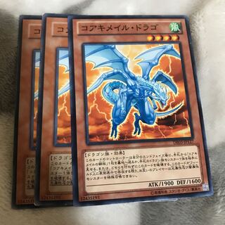 マドレース コアキメイル・ドラゴ