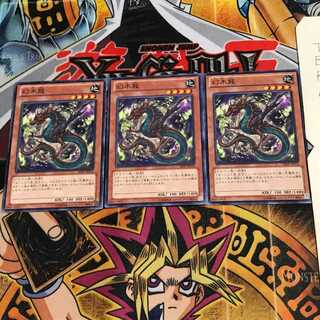 幻木龍 SHSP 1 ノーマル 3枚セット てら