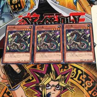 幻木龍 SHSP 2 ノーマル 3枚セット てら