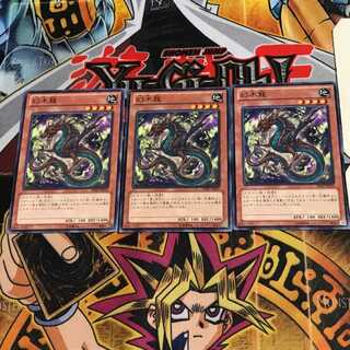 幻木龍 SHSP 3 ノーマル 3枚セット てら