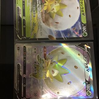 ワタシラガ　sr