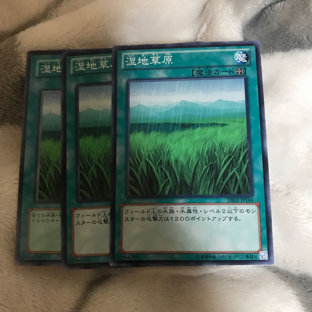 マドレース 湿地草原