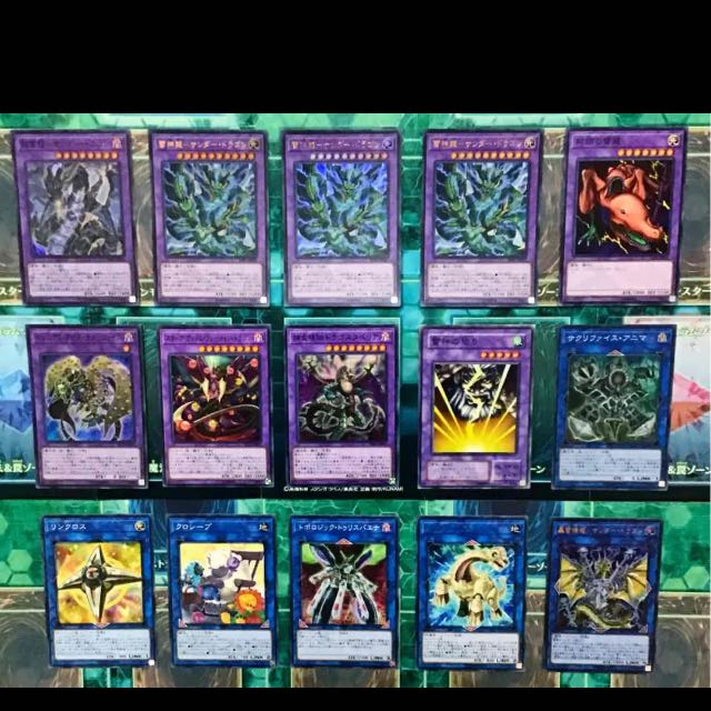 遊戯王 サンダードラゴン デッキ 本格構築 新制限対応 超雷龍 雷神龍