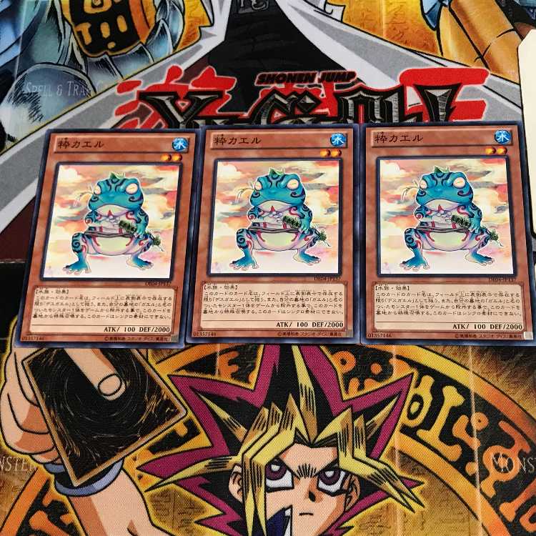 Ronintoadin DE04 8 Normal, set of 3 Tera