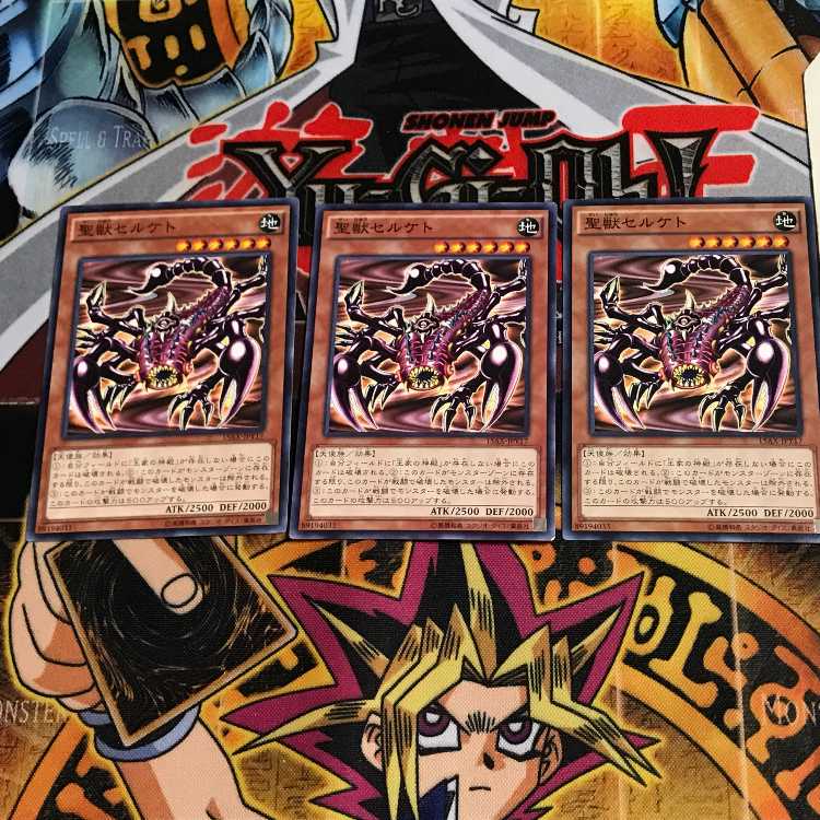 聖獣セルケト 15AX 1 ノーマル 3枚セット てら