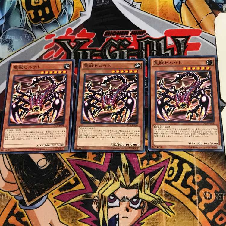 聖獣セルケト DP17 1 ノーマル 3枚セット てら