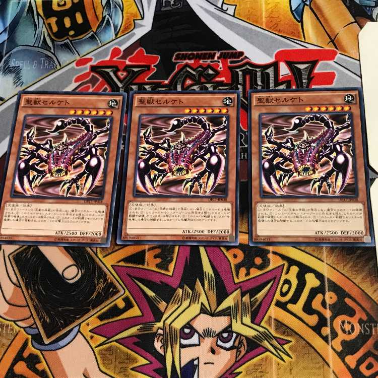 聖獣セルケト DP17 3 ノーマル 3枚セット てら