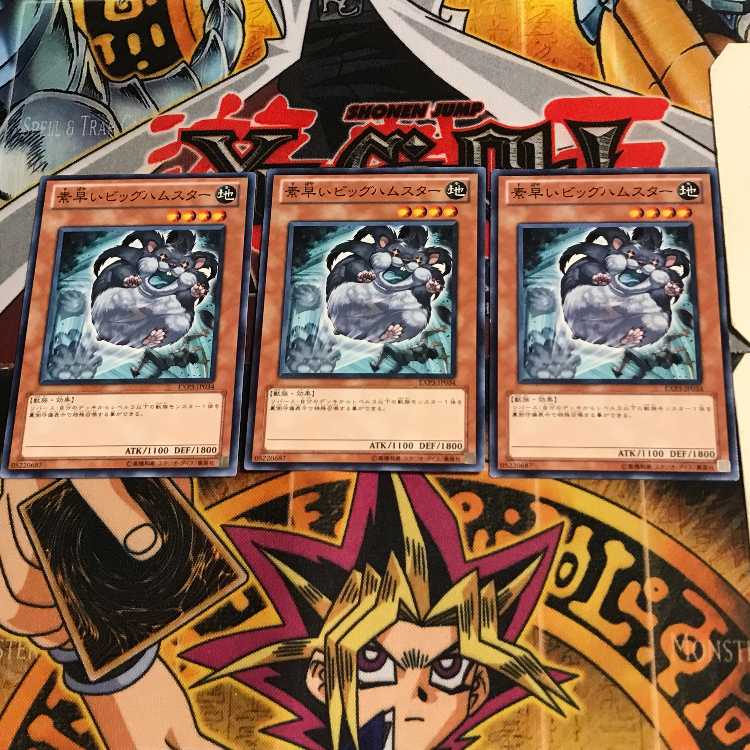 素早いビッグハムスター EXP3 3 ノーマル 3枚セット てら