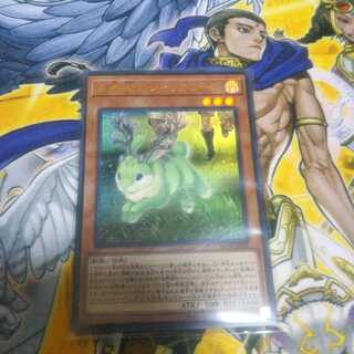 見界域のジャッカロープ