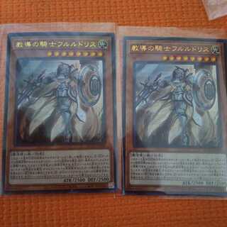 教導の騎士フルルドリス ドラグマ