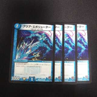 B146 Aqua Evoluter, set of 4, DUEMA TREATLE