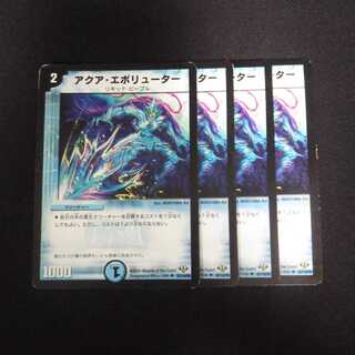 B149 Aqua Evoluter, set of 4, DUEMA TREATLE