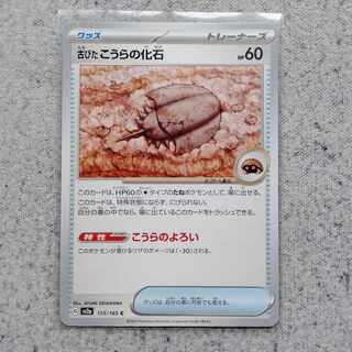 古びたこうらの化石C　ポケモン151