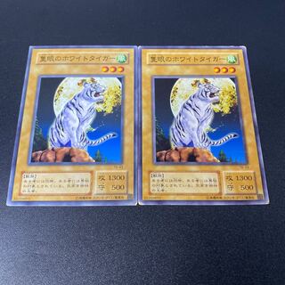 隻眼のホワイトタイガー