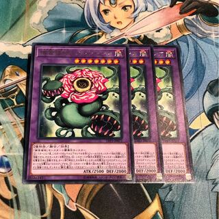 捕食植物キメラフレシア　R 3枚