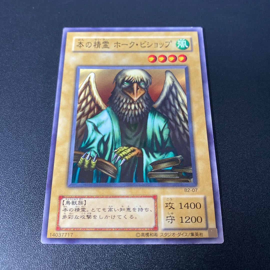 Spirit of the Book Hawk Bishop