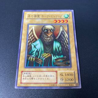 Spirit of the Book Hawk Bishop