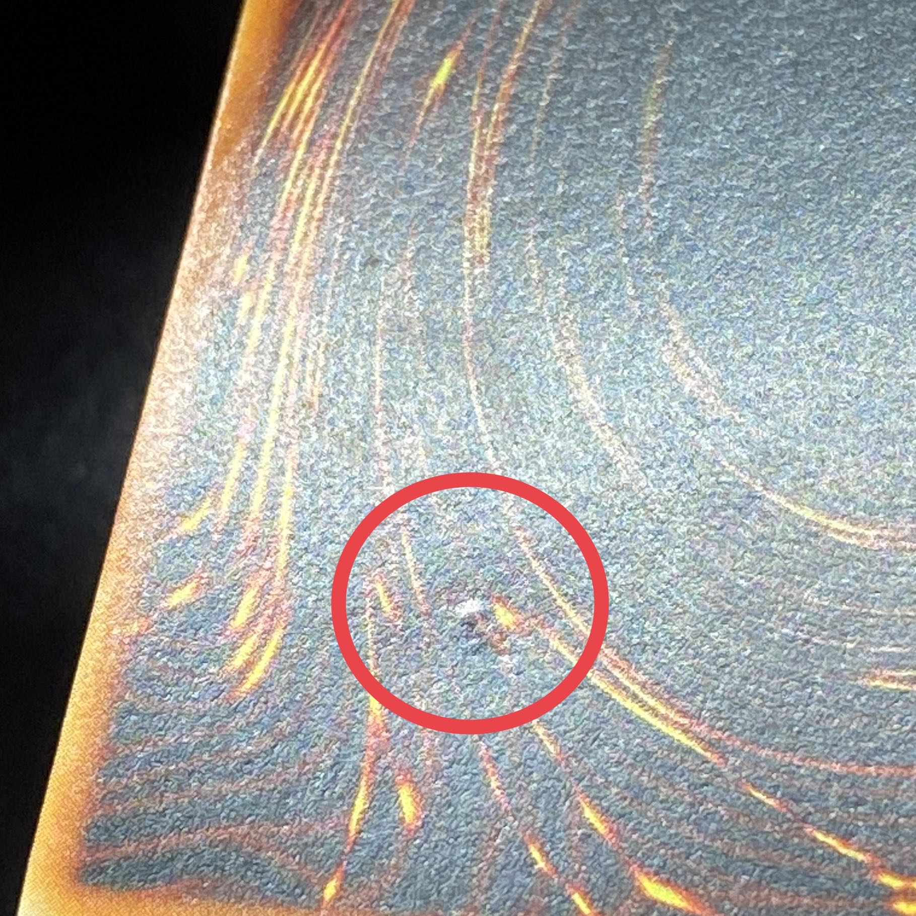 青眼の白龍 シークレットレア 付属品付き