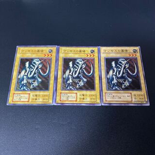 マンモスの墓場 ノーマル JPA16