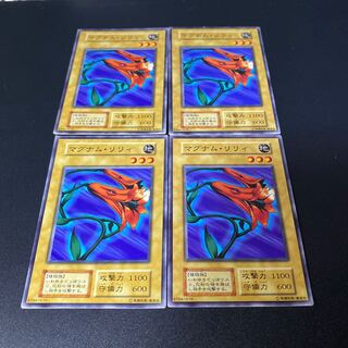 マグナムリリィ