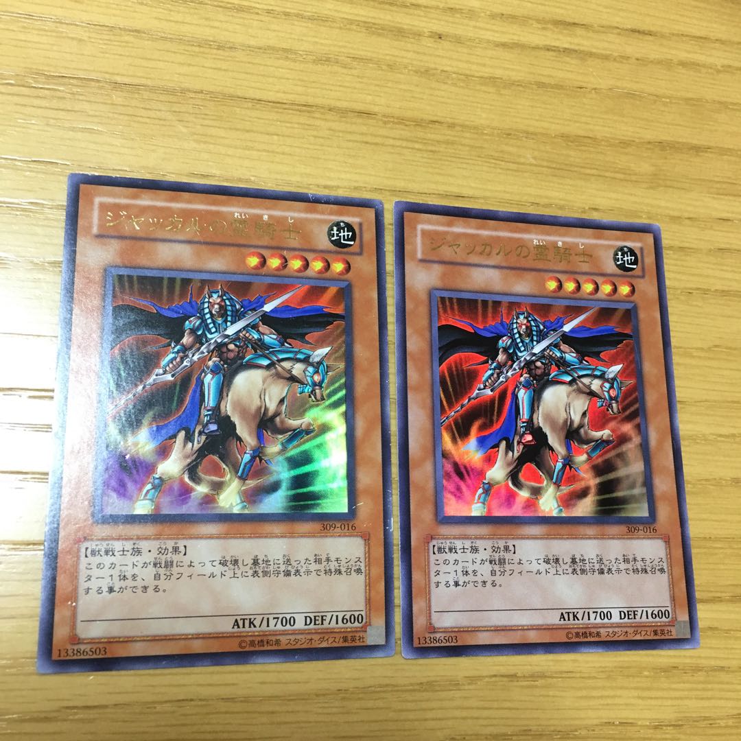 ジャッカルの霊騎士 2点セット