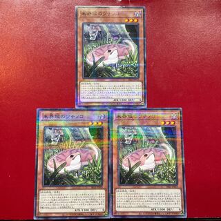 遊戯王 未界域のツチノコ 【SR13】ノーマルパラレル 3枚セット