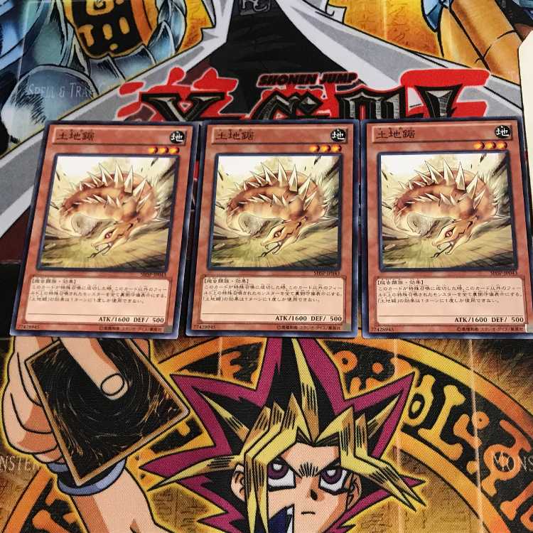 土地鋸 SHSP 2 ノーマル 3枚セット てら