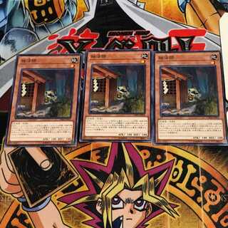 独法師 CHIM 2 ノーマル 3枚セット てら