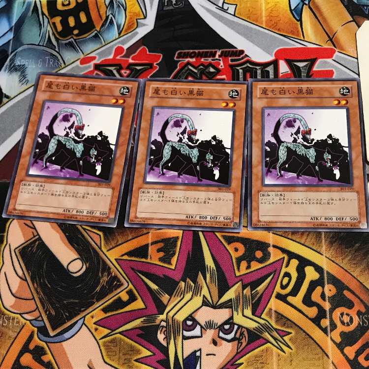 尾も白い黒猫 303 2 ノーマル 3枚セット てら