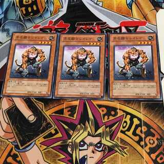 Indomitable Fighter Lei Lei CRV 3 Normal Set of 3 Tera