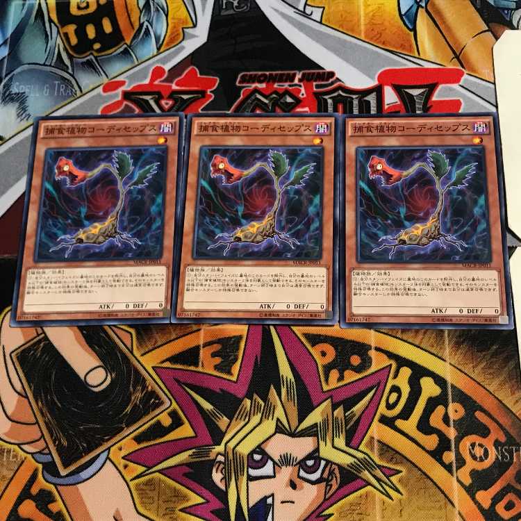 捕食植物コーディセップス MACR 2 ノーマル 3枚セット てら