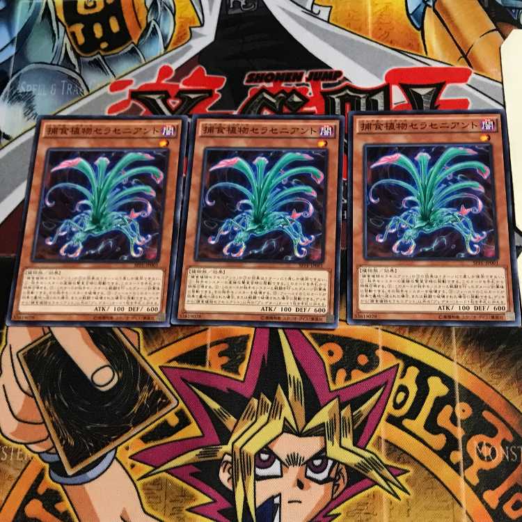 捕食植物セラセニアント SPFE 1 ノーマル 3枚セット てら